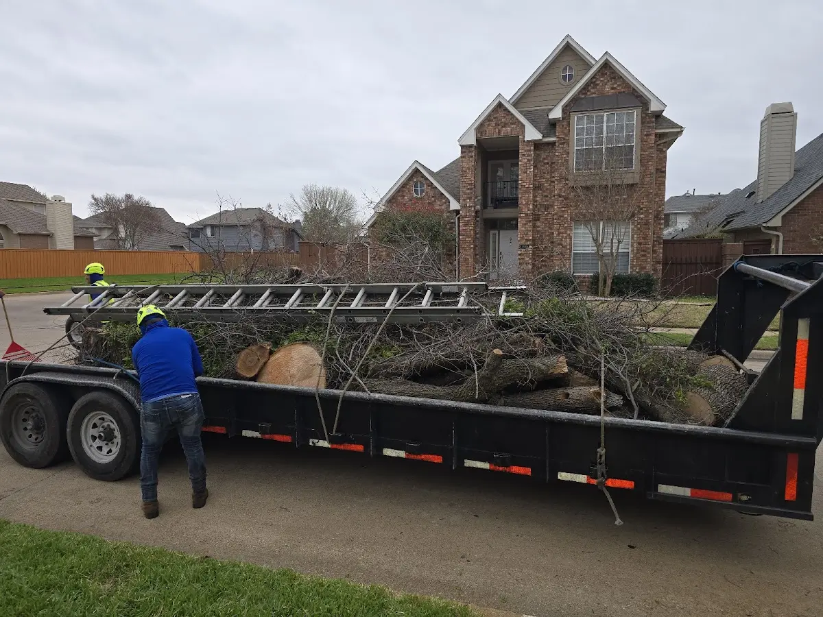Expert Tree Removal with proper safety equipment in Platteville